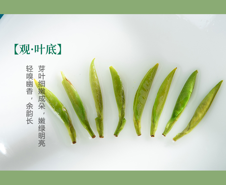 品质口粮精品仙毫磨砂罐50g详情图13