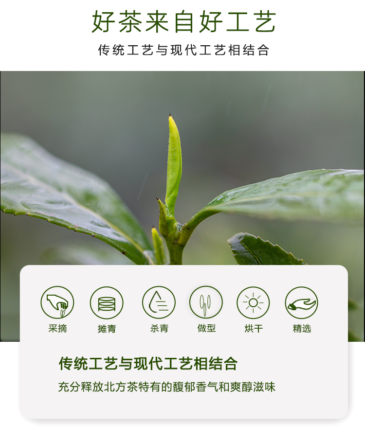 品质口粮精品仙毫磨砂罐50g详情图14