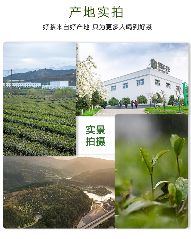 品质口粮精品仙毫磨砂罐50g详情图17
