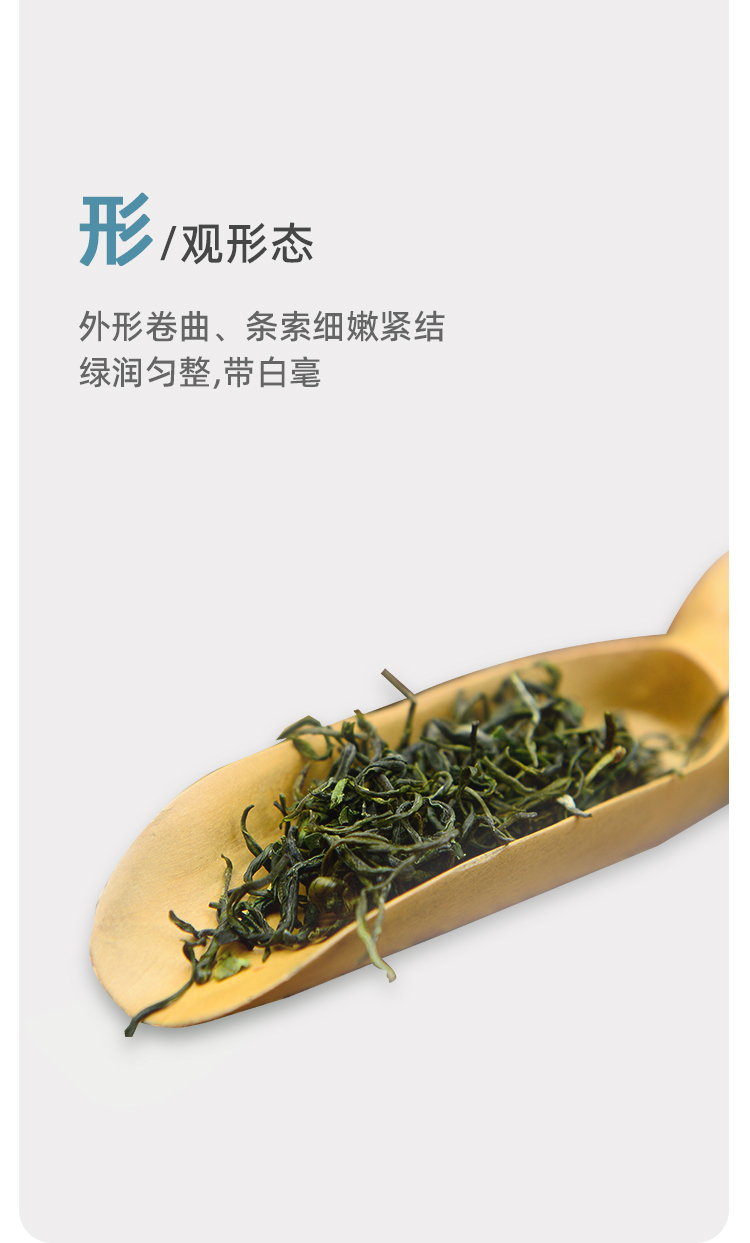 品质口粮特级纯甜毛尖蒂芙尼蓝铁罐100g详情图6