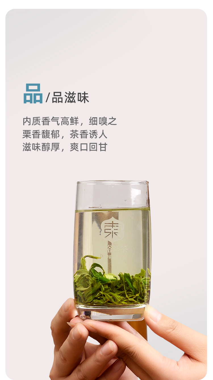 品质口粮特级纯甜毛尖蒂芙尼蓝铁罐100g详情图7