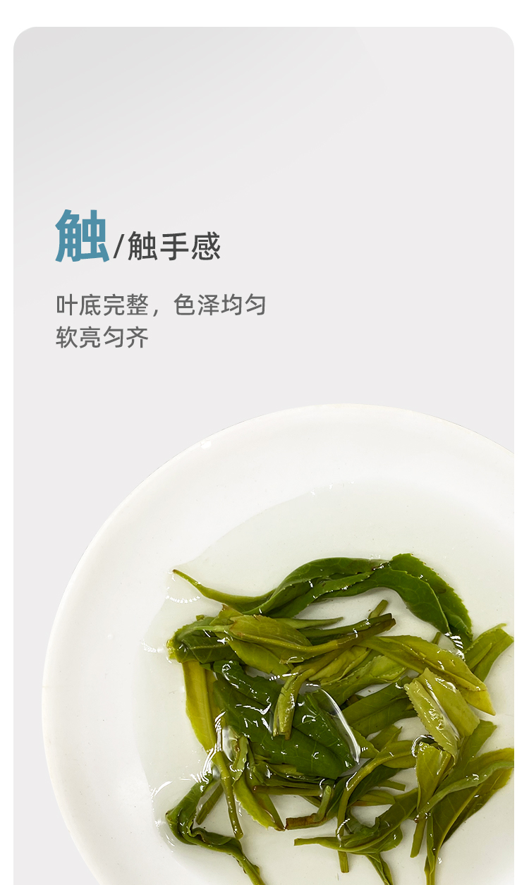 品质口粮特级纯甜毛尖蒂芙尼蓝铁罐100g详情图8