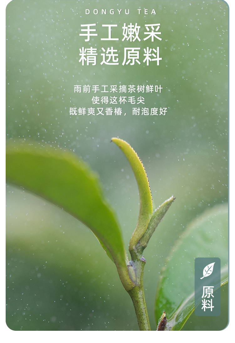 品质口粮特级纯甜毛尖蒂芙尼蓝铁罐100g详情图10