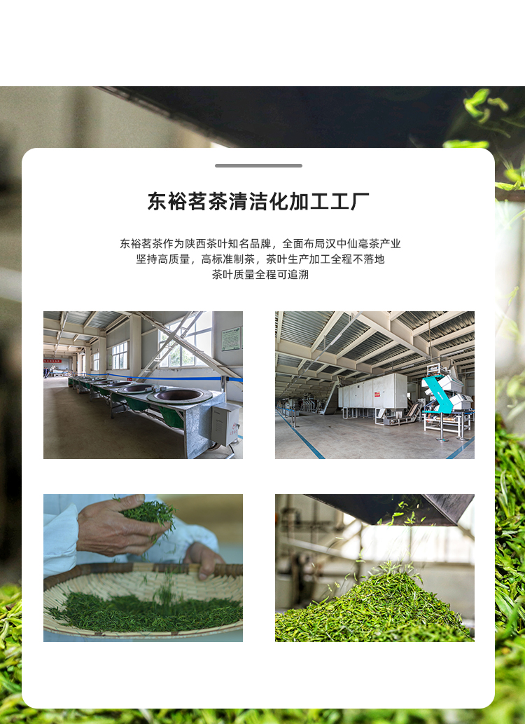 品质口粮特级纯甜毛尖蒂芙尼蓝铁罐100g详情图12