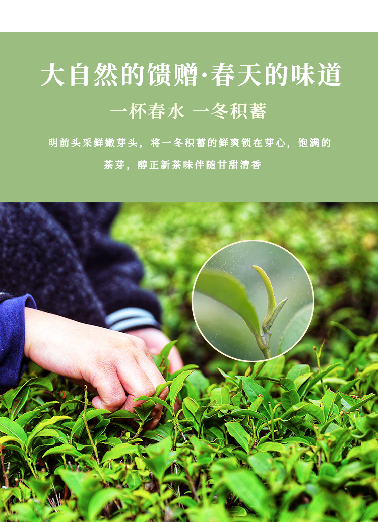 东裕经典系列精品仙毫硬质条盒80g详情图3