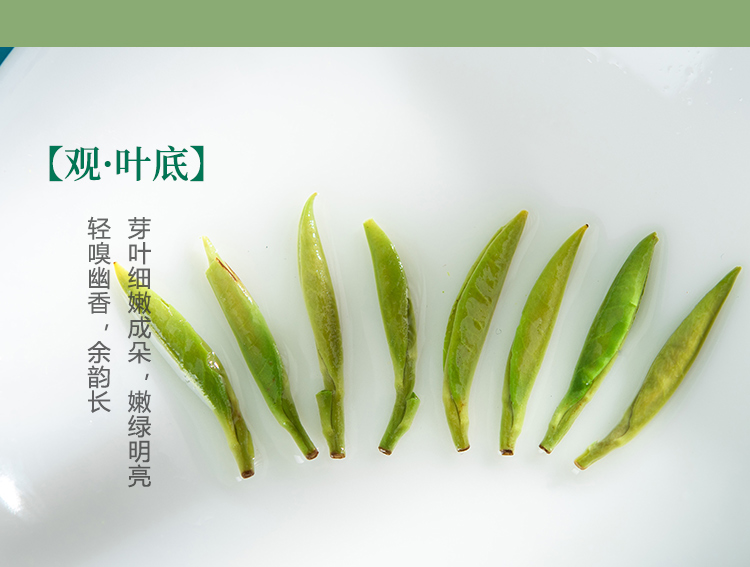 东裕经典系列精品仙毫硬质条盒80g详情图11