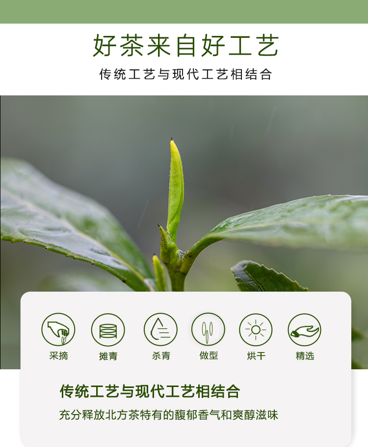 东裕经典系列精品仙毫硬质条盒80g详情图12