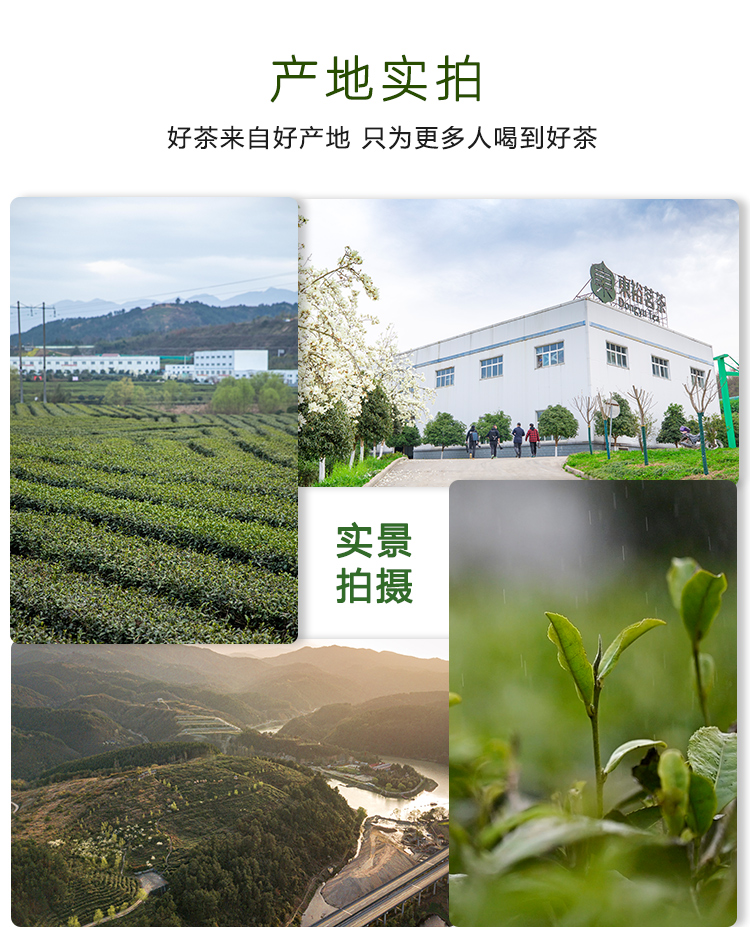 东裕经典系列精品仙毫硬质条盒80g详情图15