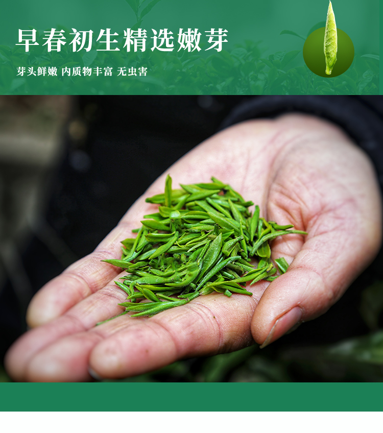 东裕经典系列一级仙毫礼盒212g详情图6