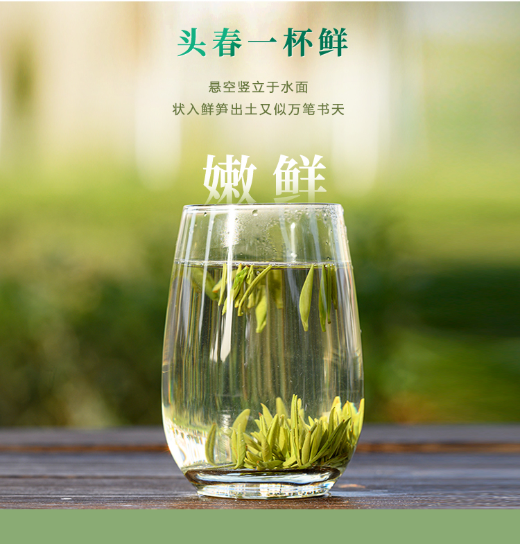 东裕经典系列一级仙毫礼盒212g详情图10