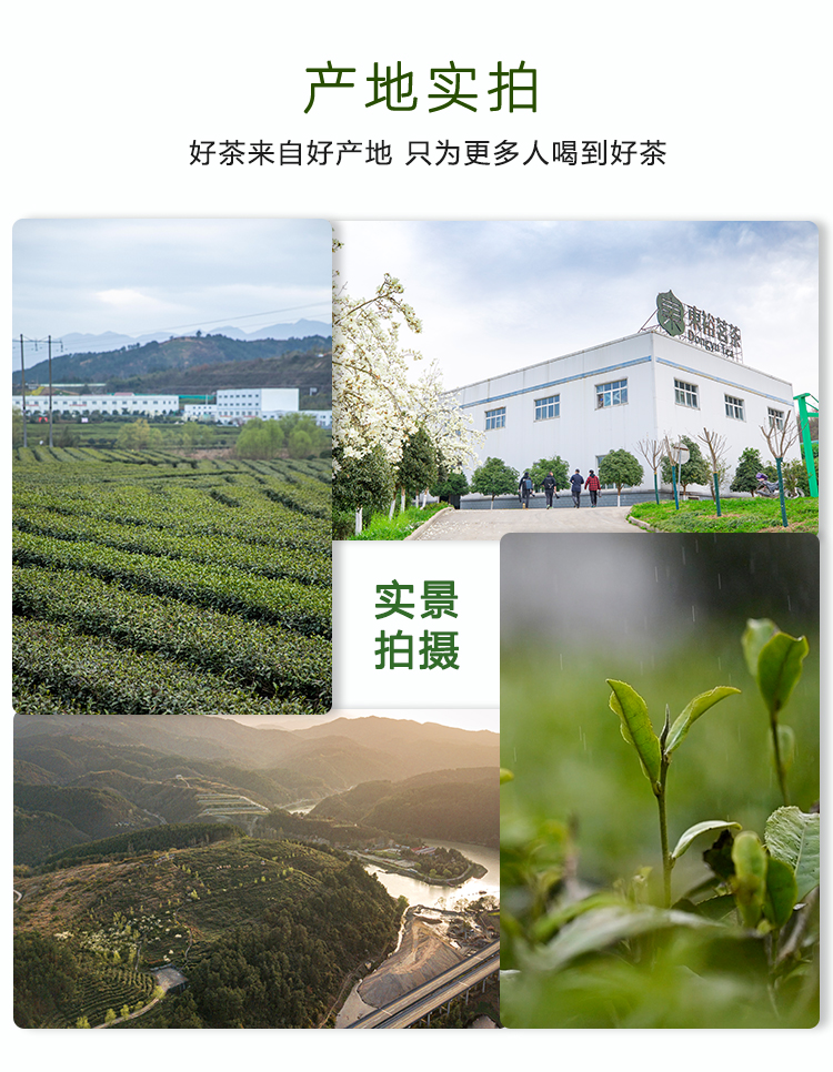 东裕经典系列一级仙毫礼盒212g详情图17