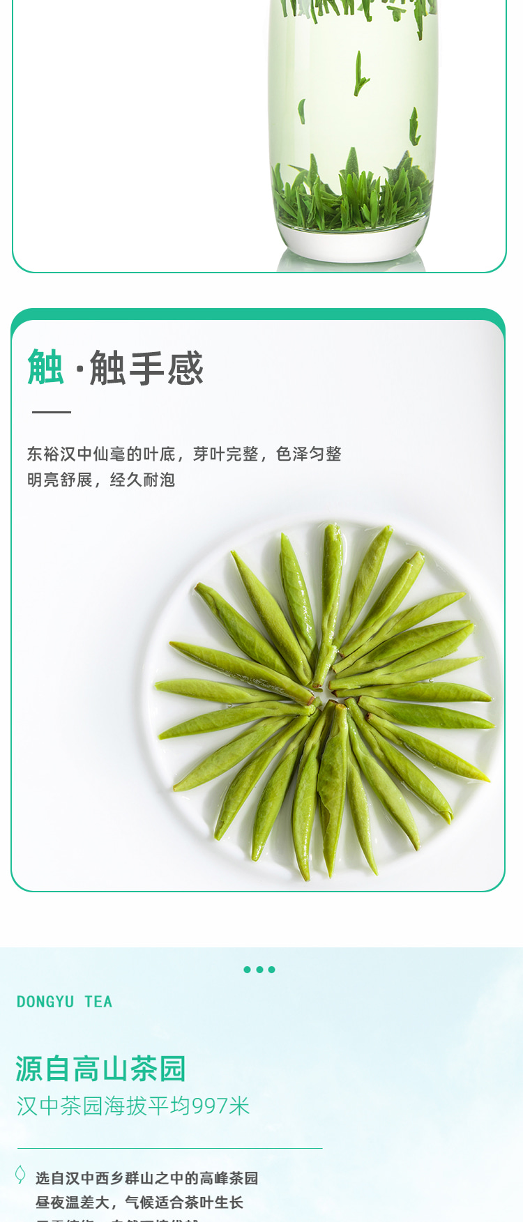 东裕品质口粮精品只此青绿汉中仙毫60g详情图4