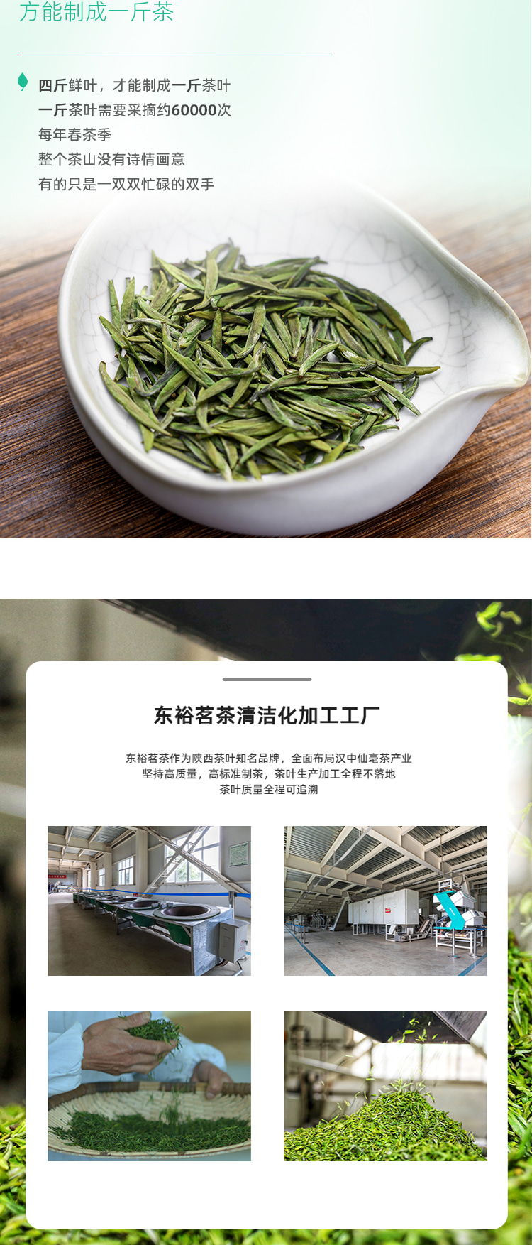 东裕品质口粮精品只此青绿汉中仙毫60g详情图6