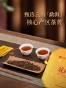 中茶琥珀金芽200g