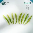 10006.webp